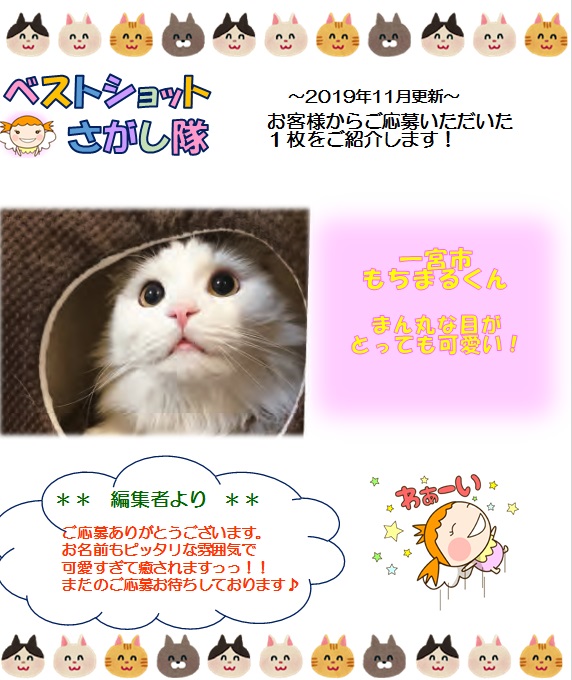 12019.1.02oubo.jpg